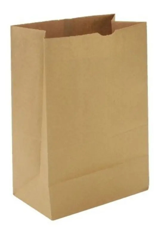 D_654001-MLA42801013608_072020-F-3 Bolsas Kraft 200X110X300 Marron Fm5 X 500 Und - Image 1